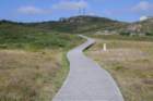 lesenasteza_small.jpg