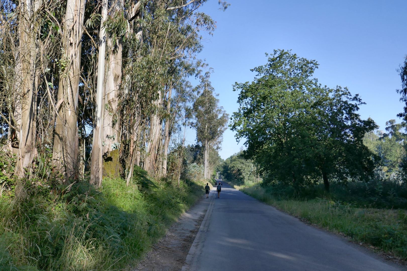 Na poti