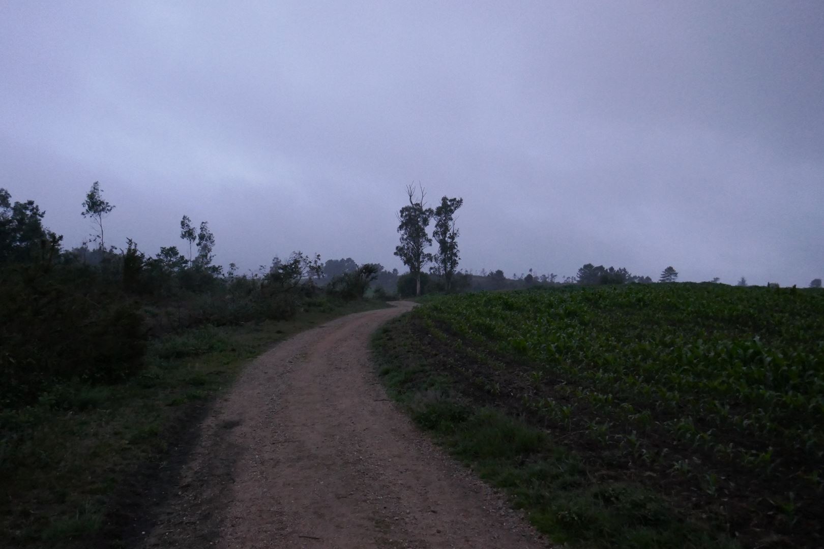Na poti