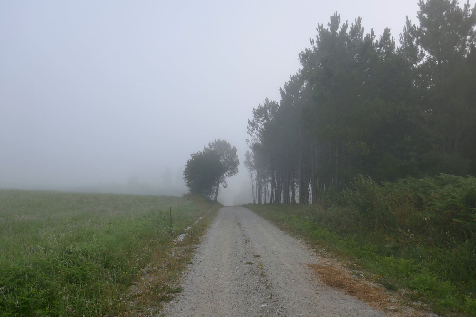 Na poti
