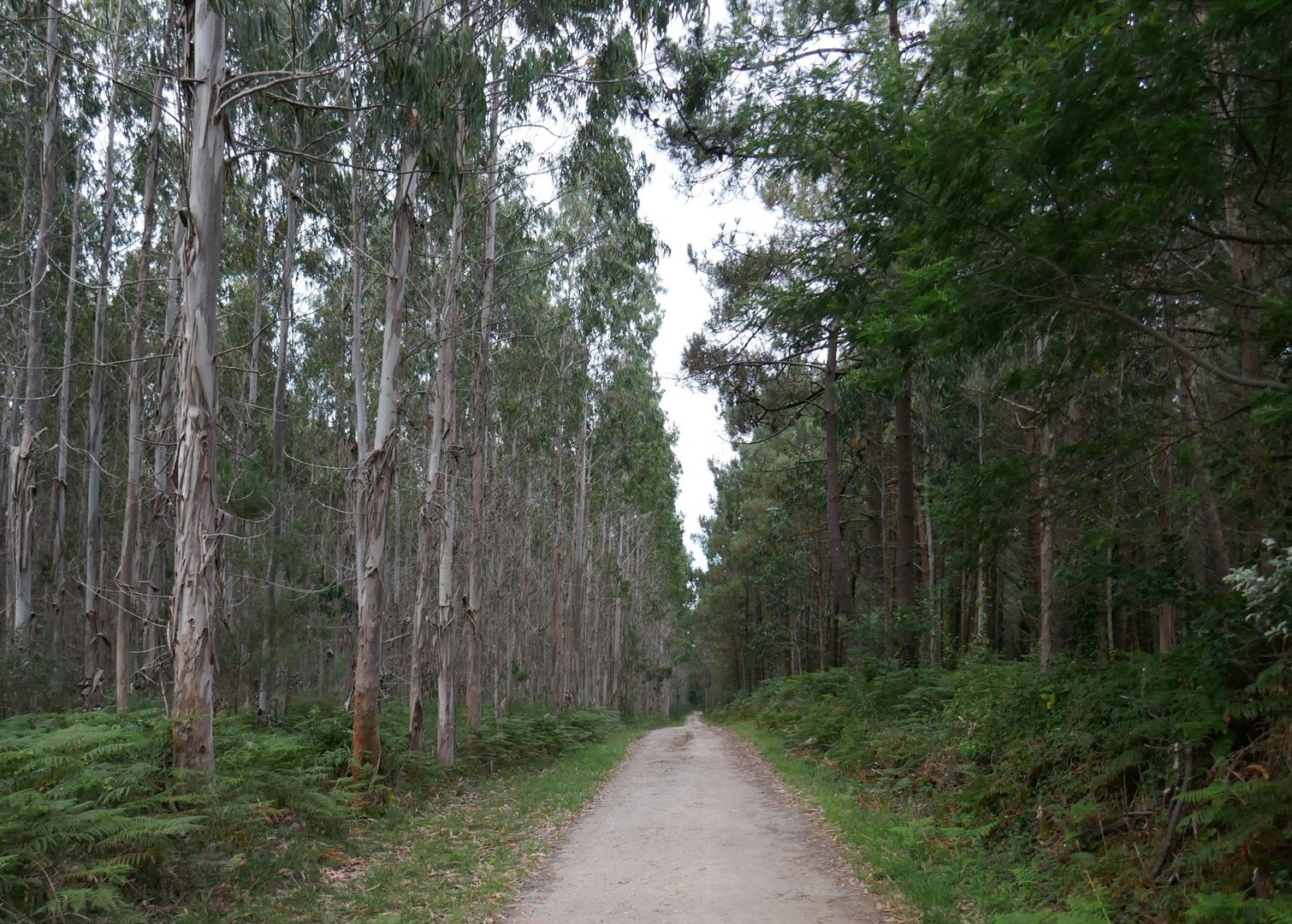 Na poti