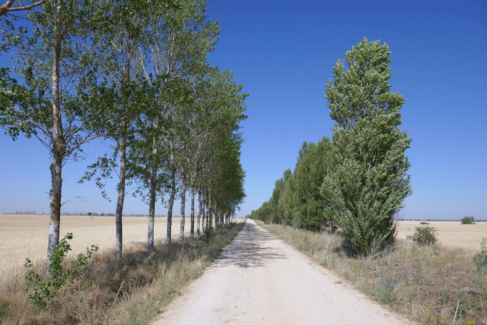 Na poti