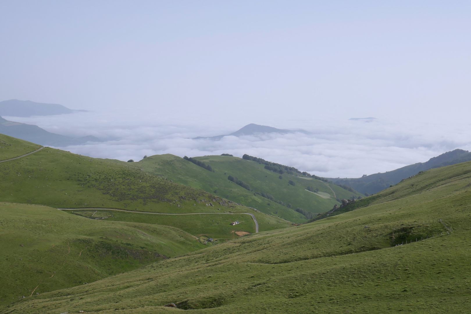 Pireneji
