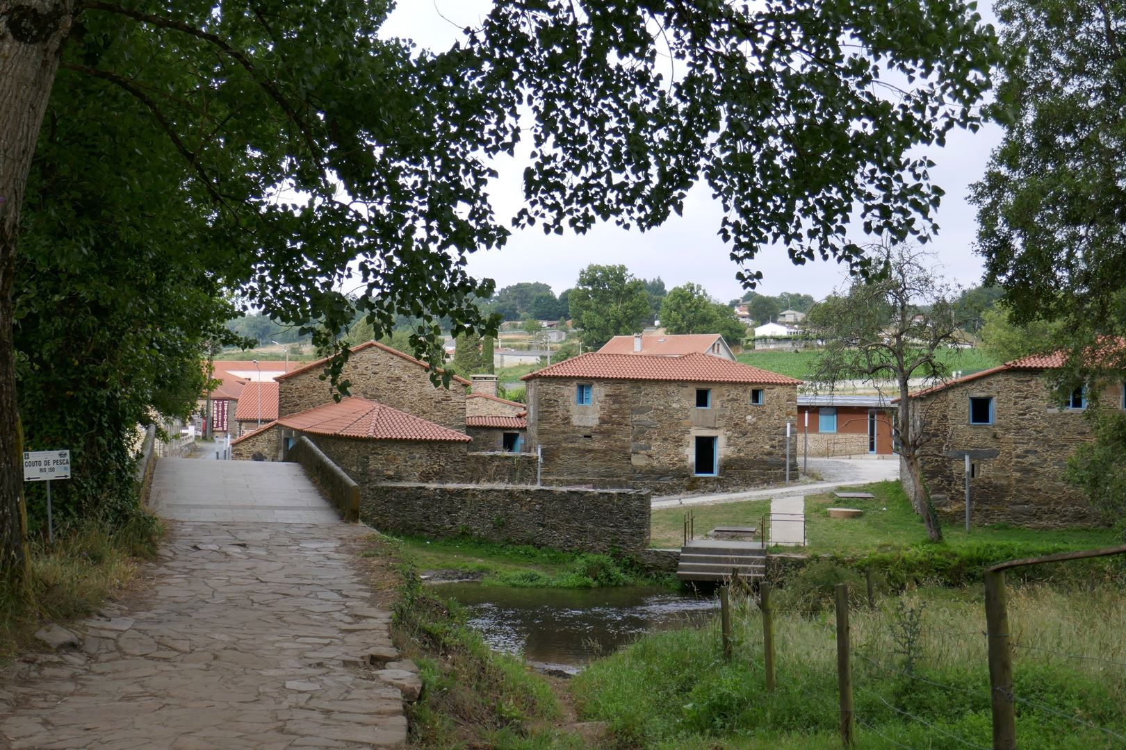 Rivadiso